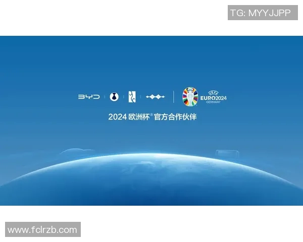 欧洲杯足球赛事市场营销及商业价值 欧洲杯足球赛事市场营销及商业价值