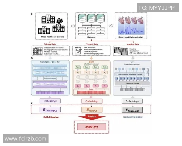 数据模型解析MVP胜率预测方法揭示赛事结果新趋势